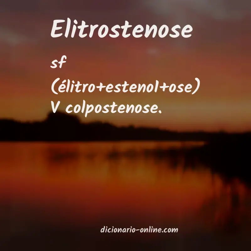 Significado de elitrostenose