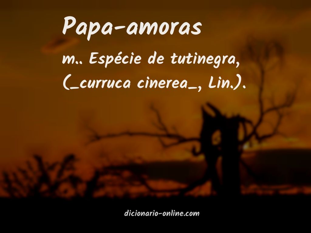 Significado de papa-amoras