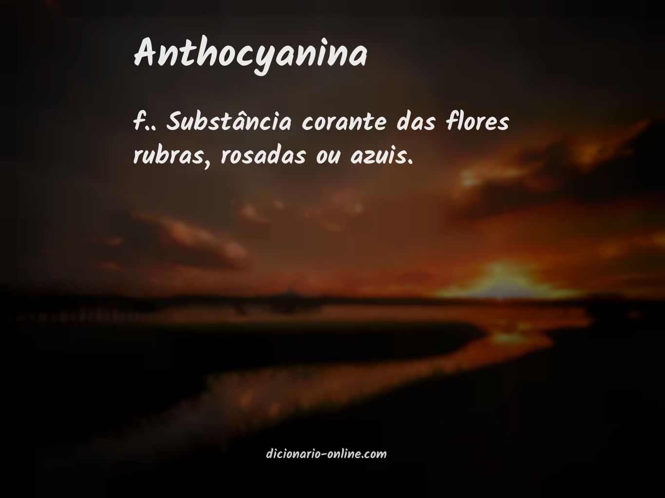 Significado de anthocyanina