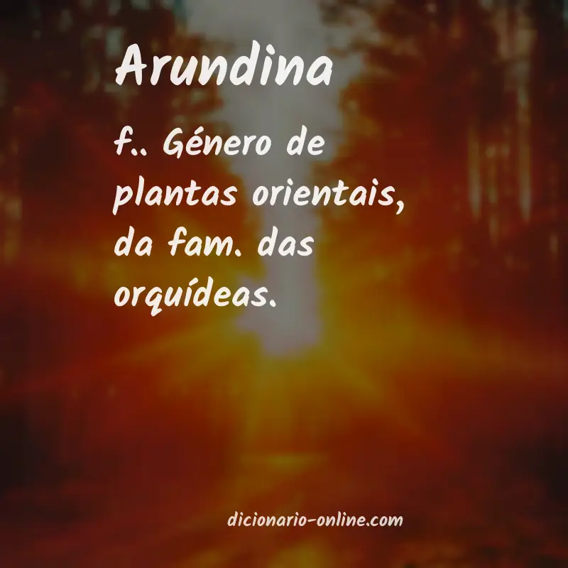 Significado de arundina