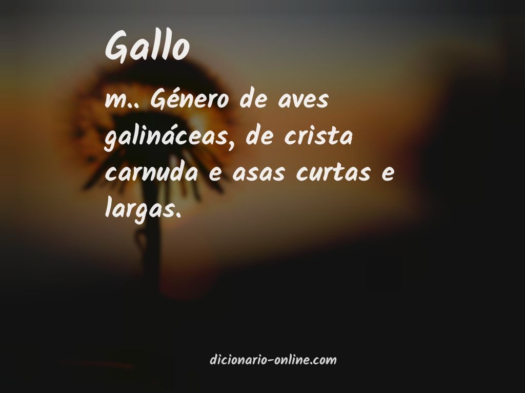 Significado de gallo