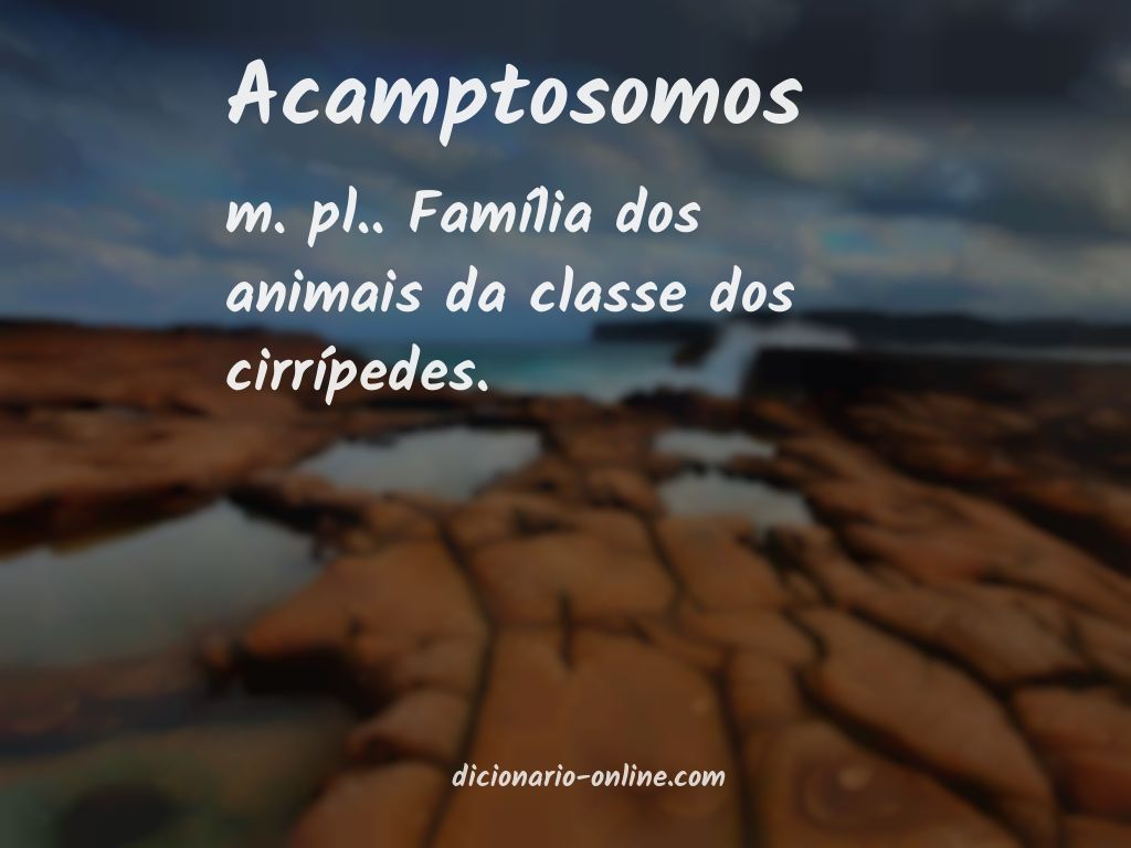 Significado de acamptosomos