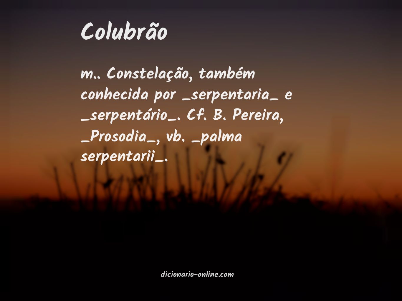 Significado de colubrão