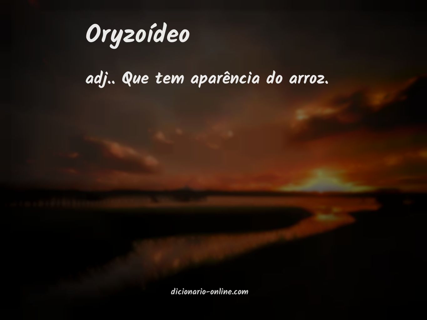 Significado de oryzoídeo