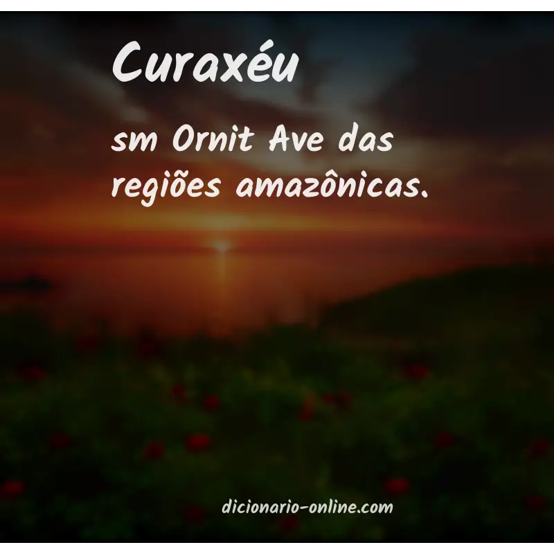 Significado de curaxéu
