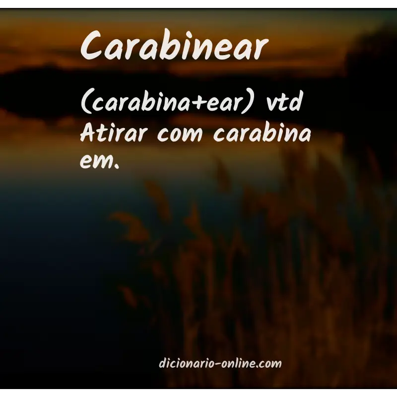 Significado de carabinear