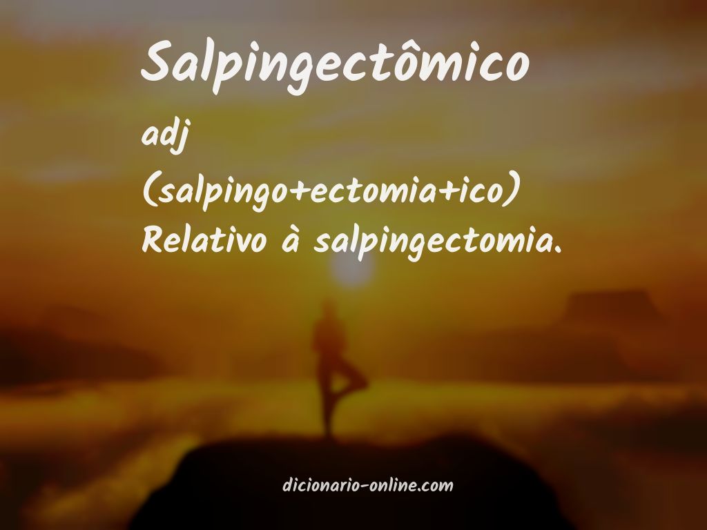 Significado de salpingectômico