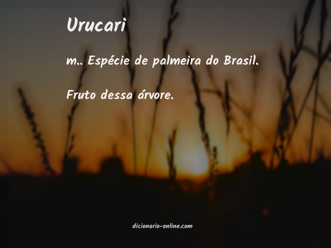 Significado de urucari