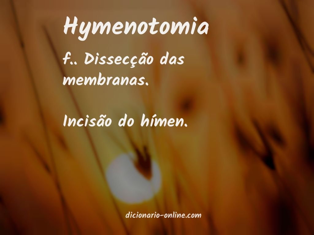 Significado de hymenotomia