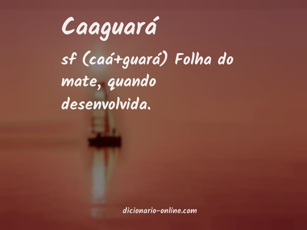 Significado de caaguará