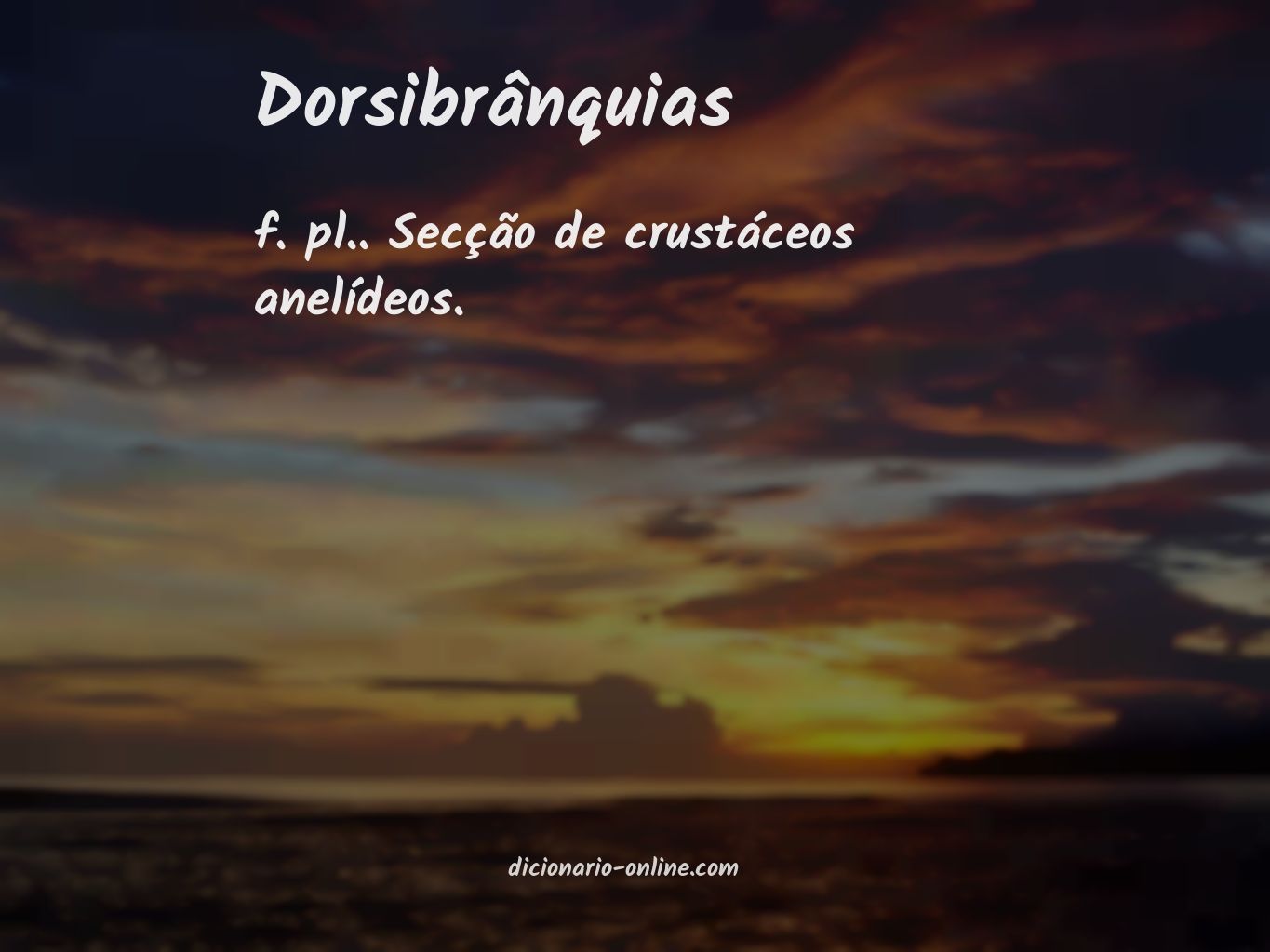 Significado de dorsibrânquias