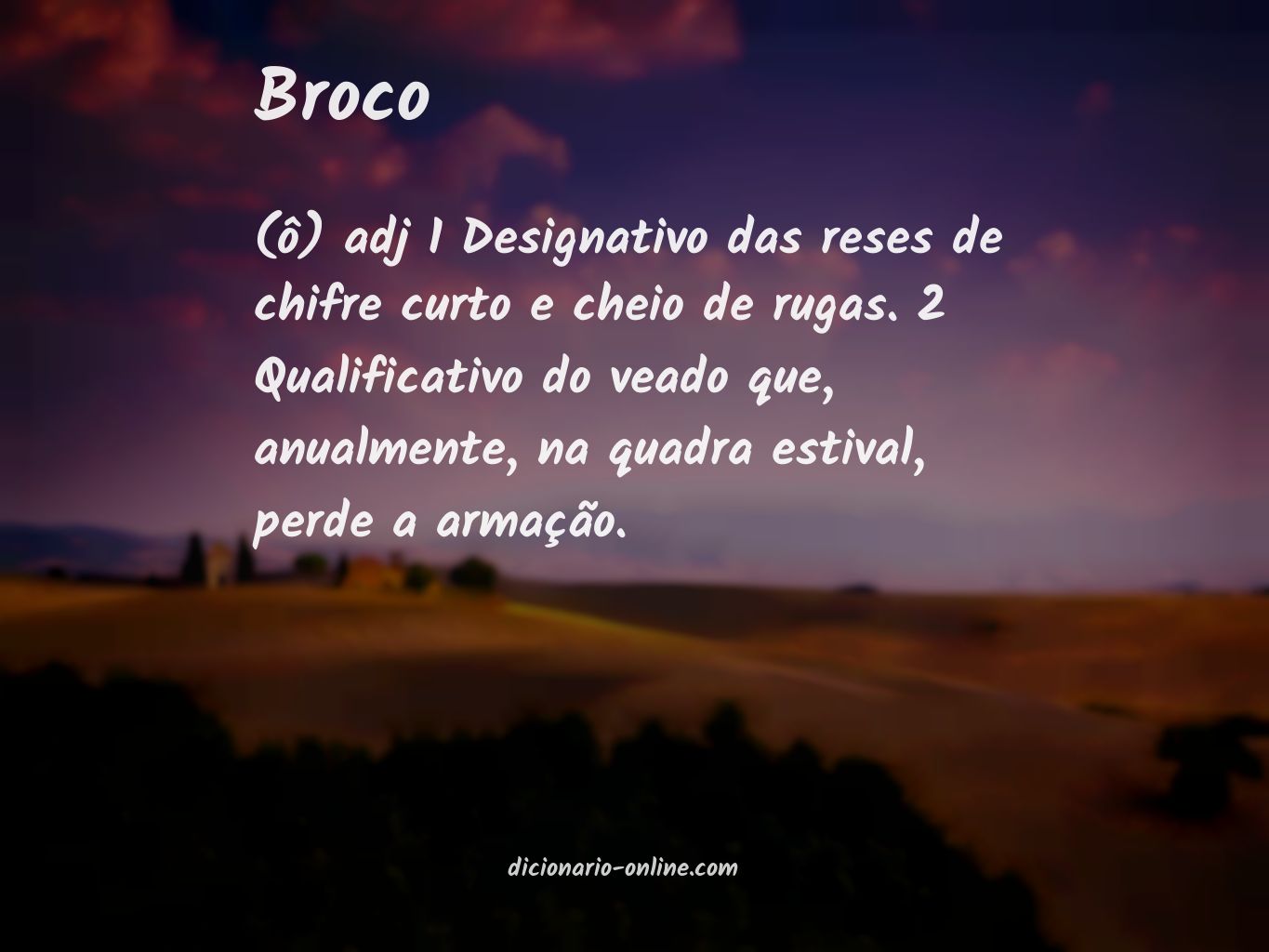 Significado de broco