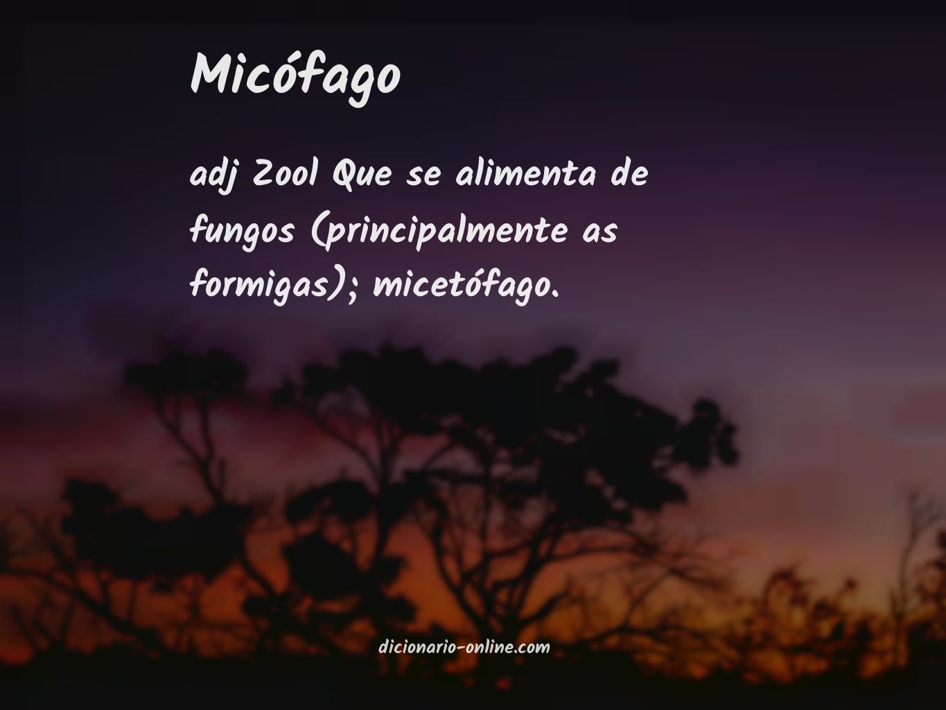 Significado de micófago