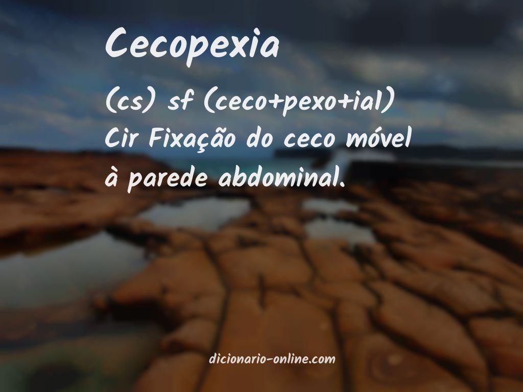 Significado de cecopexia