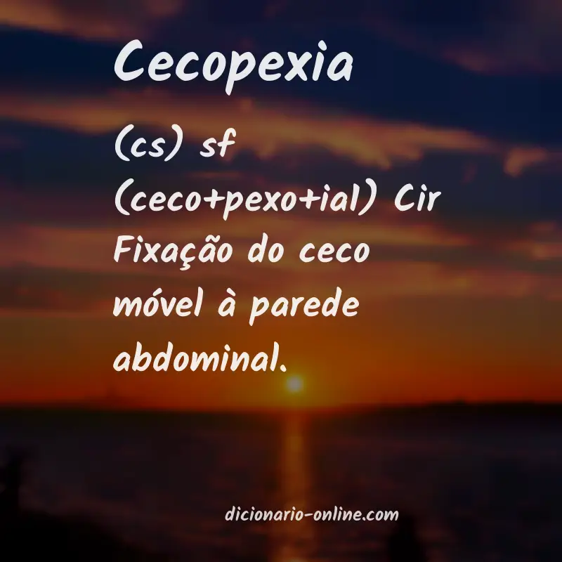 Significado de cecopexia