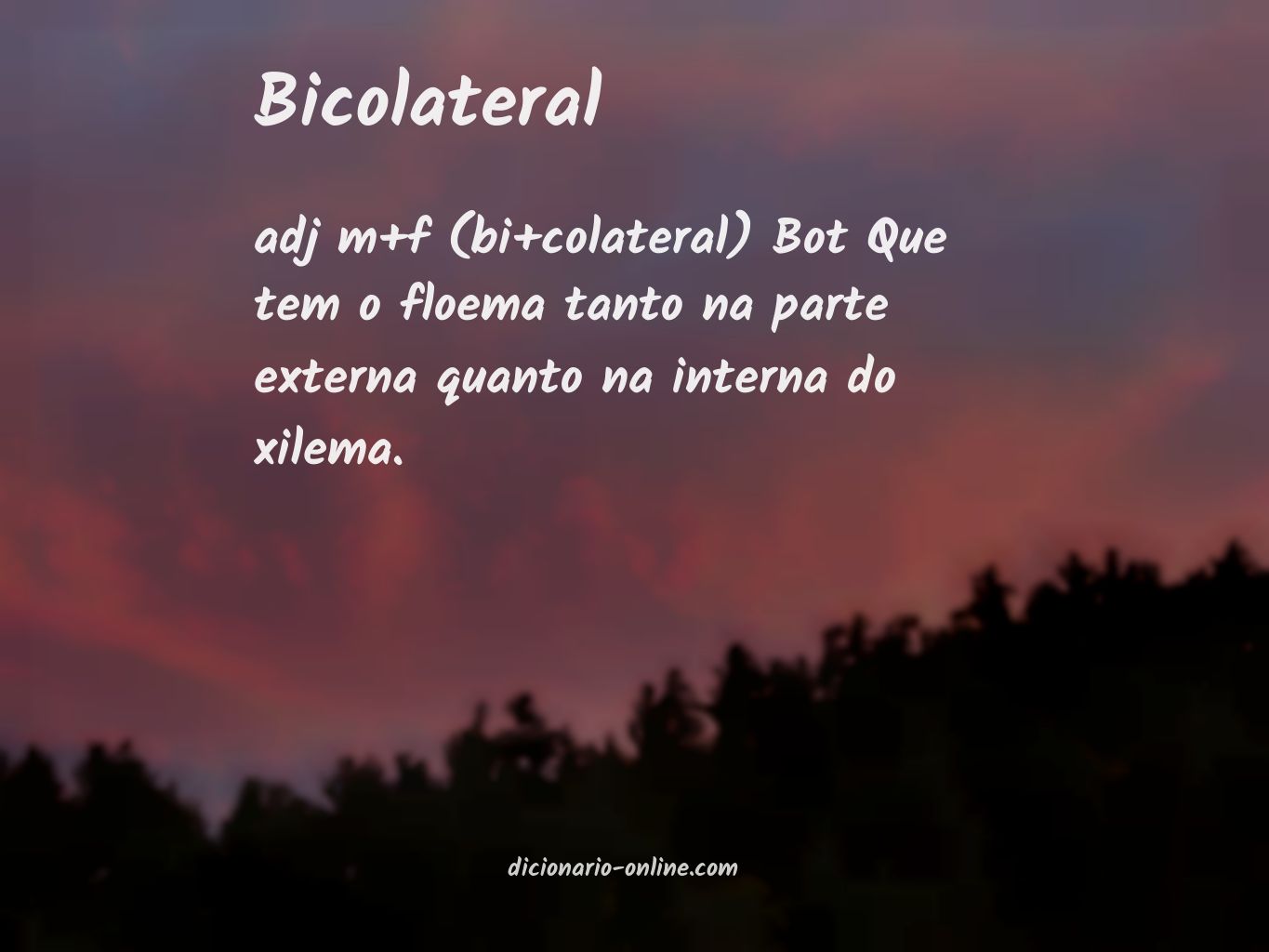 Significado de bicolateral