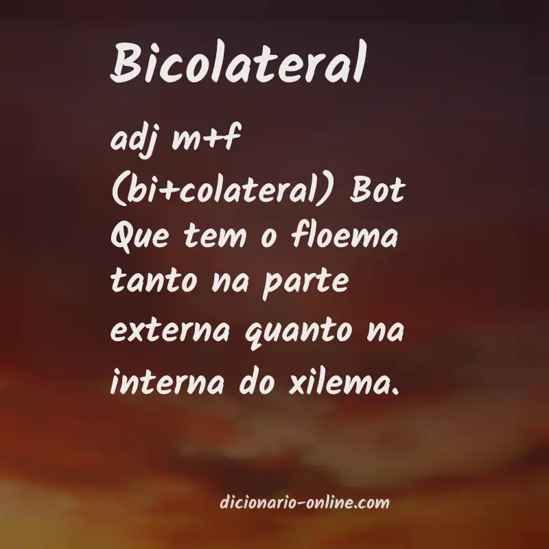 Significado de bicolateral