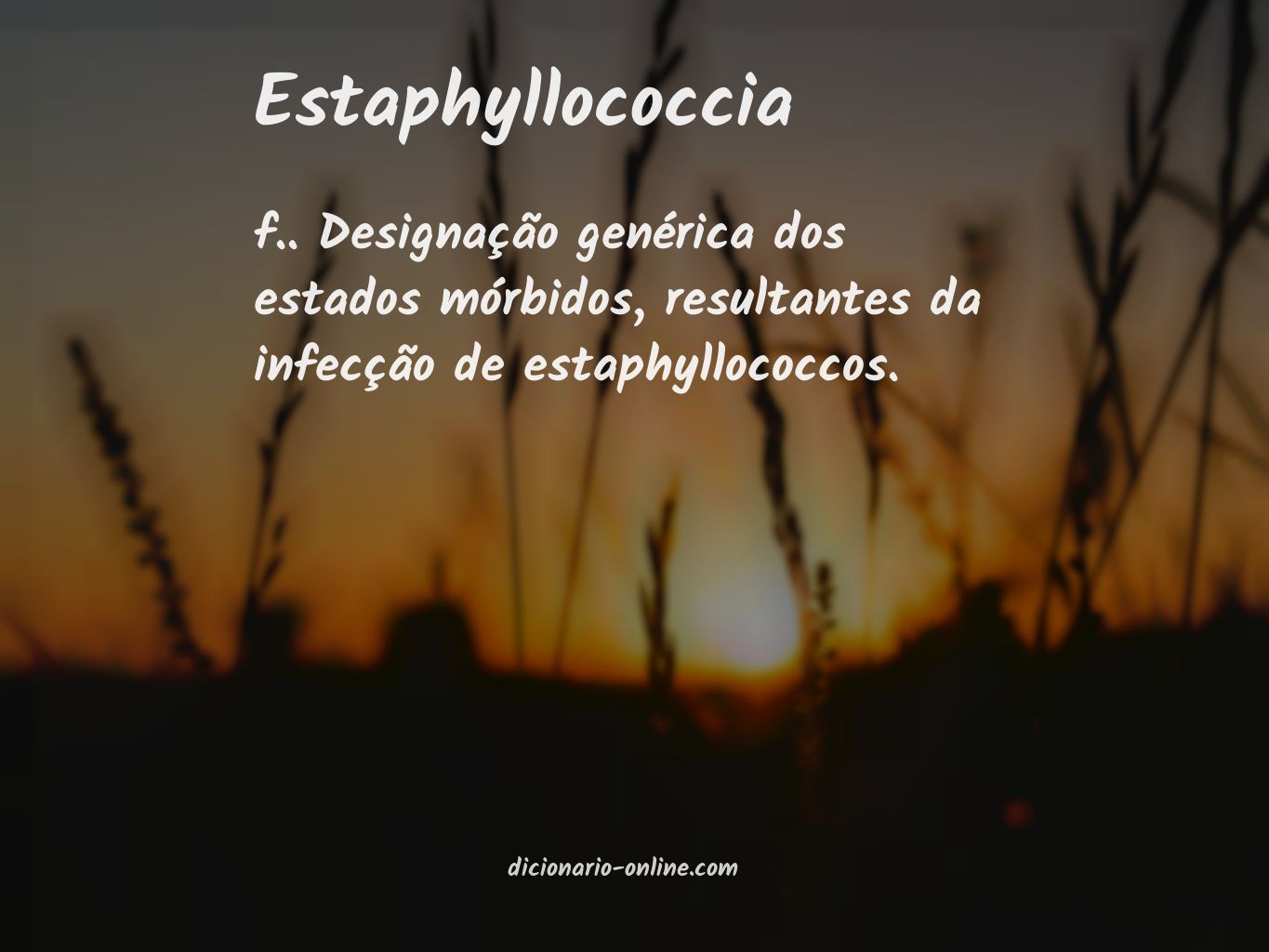 Significado de estaphyllococcia