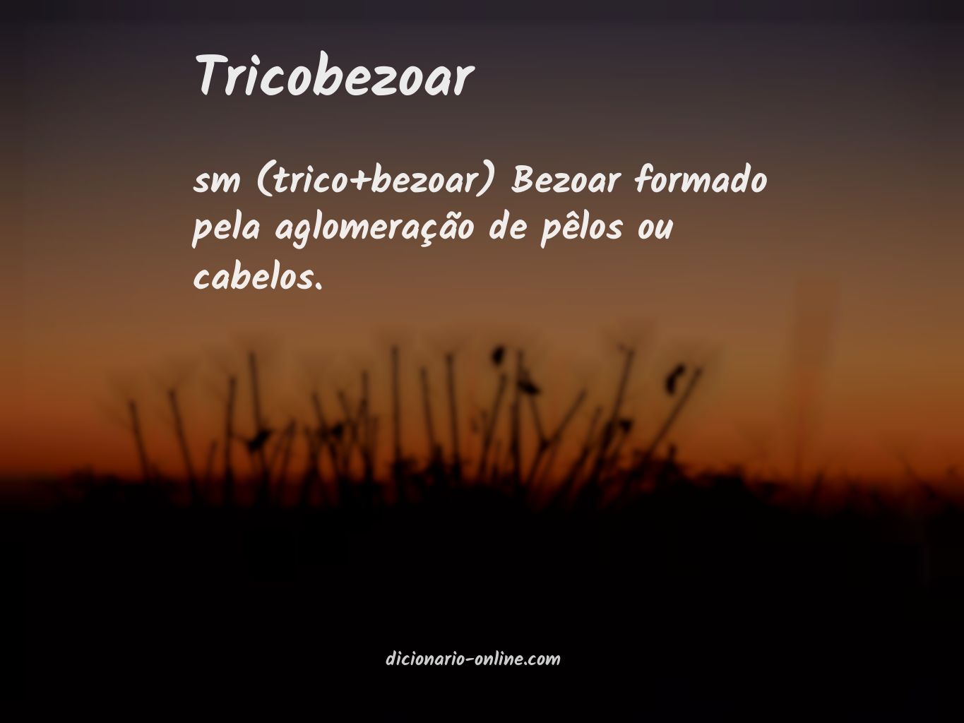 Significado de tricobezoar