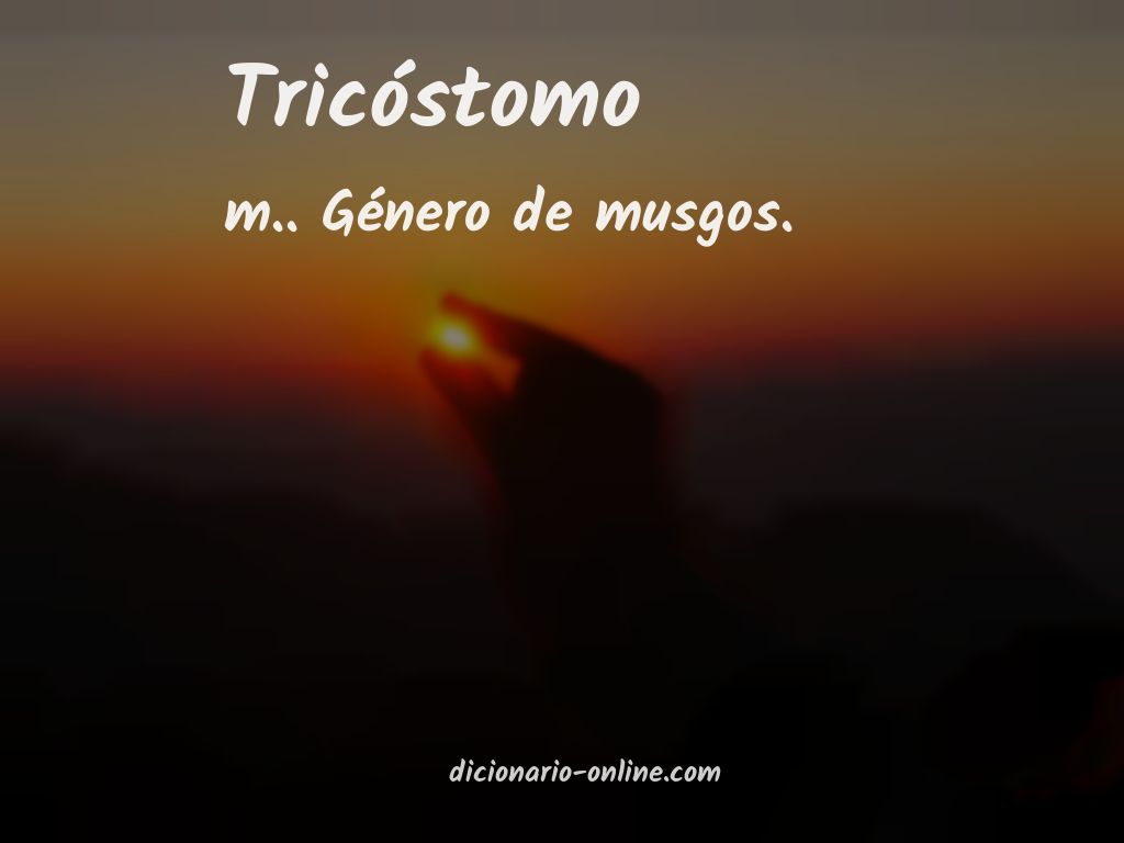 Significado de tricóstomo