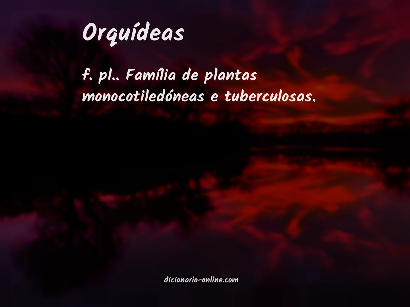 Significado de orquídeas