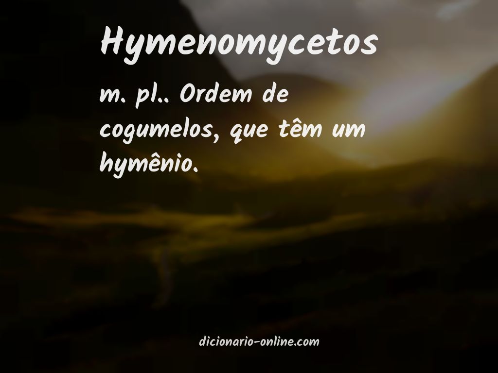 Significado de hymenomycetos