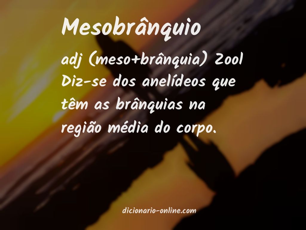 Significado de mesobrânquio