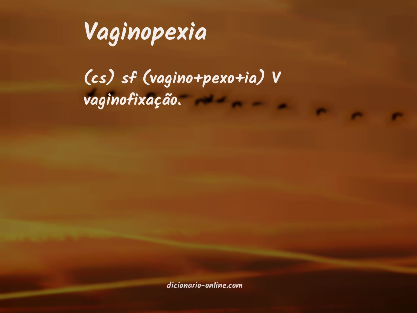 Significado de vaginopexia