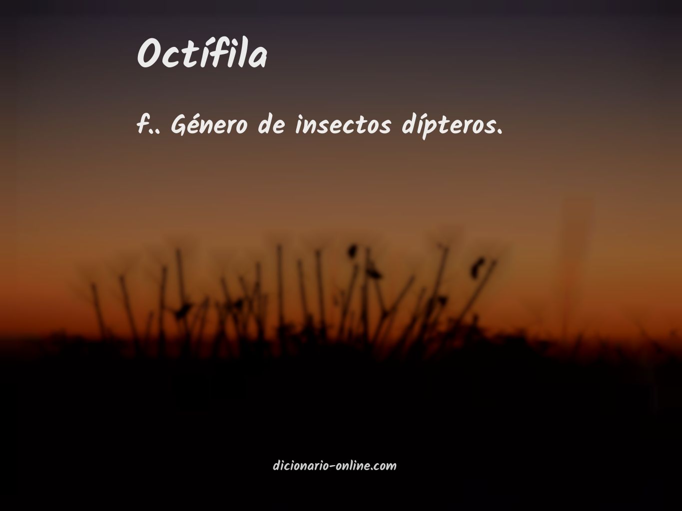 Significado de octífila