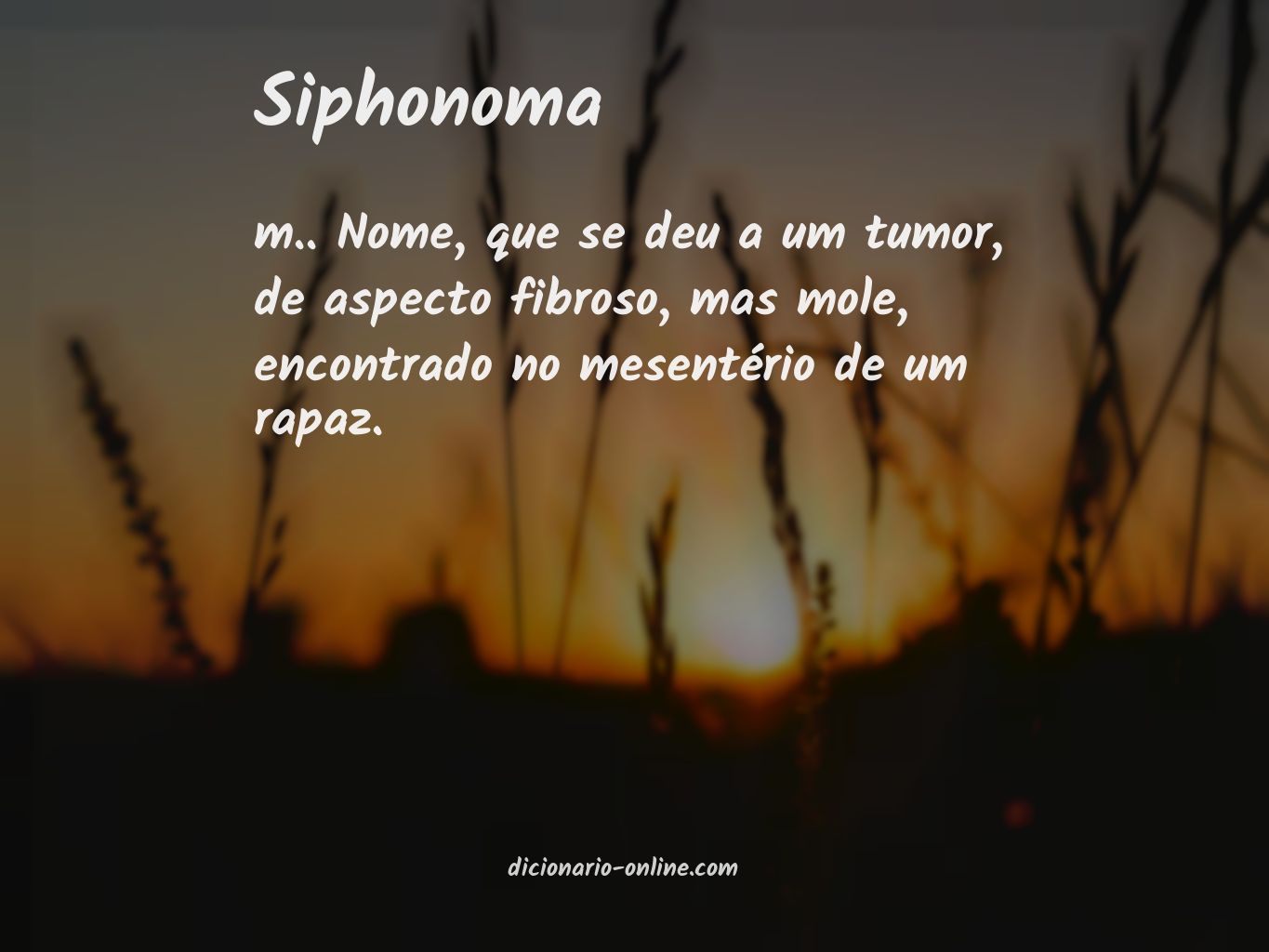 Significado de siphonoma