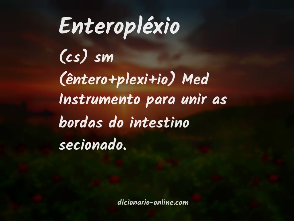 Significado de enteropléxio