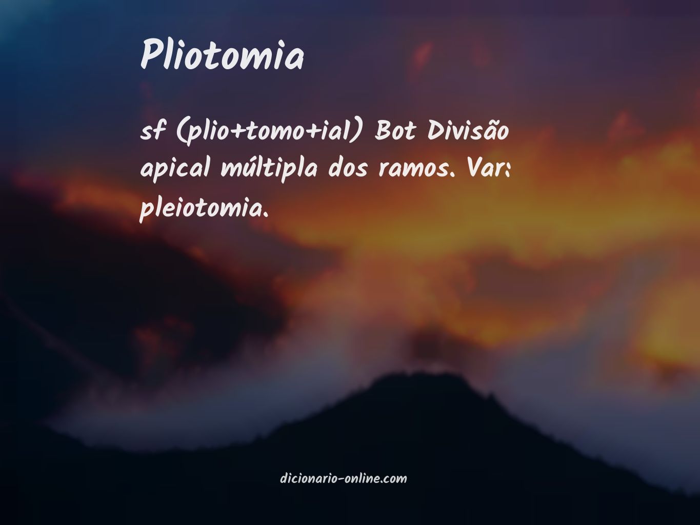 Significado de pliotomia