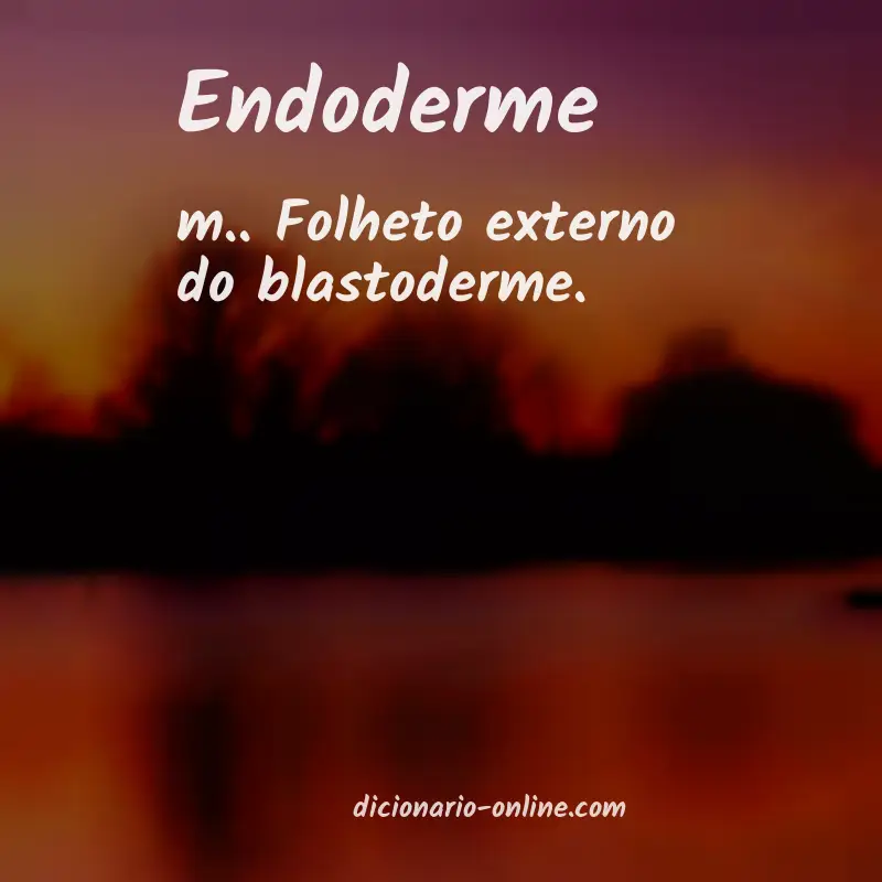 Significado de endoderme