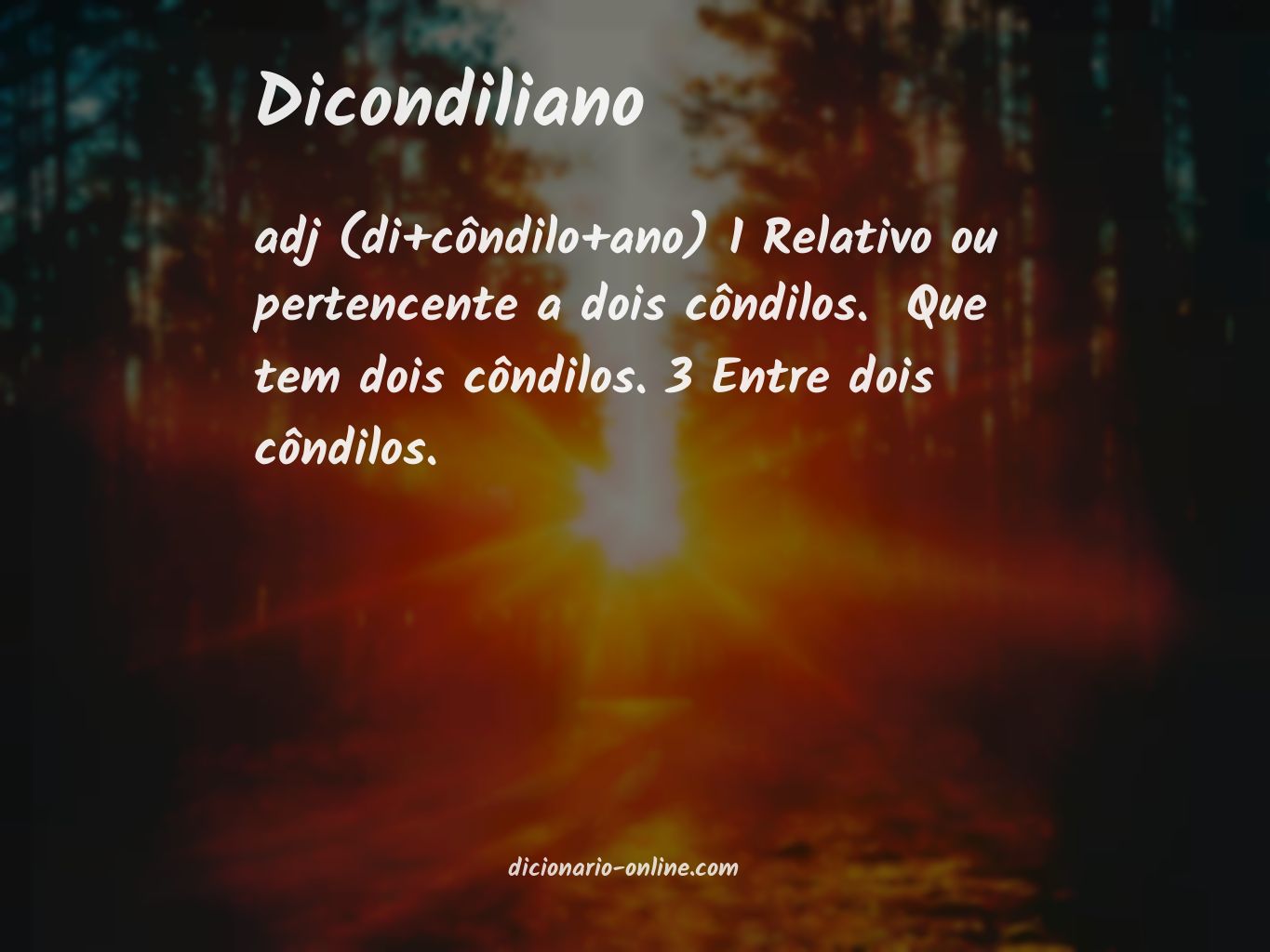 Significado de dicondiliano