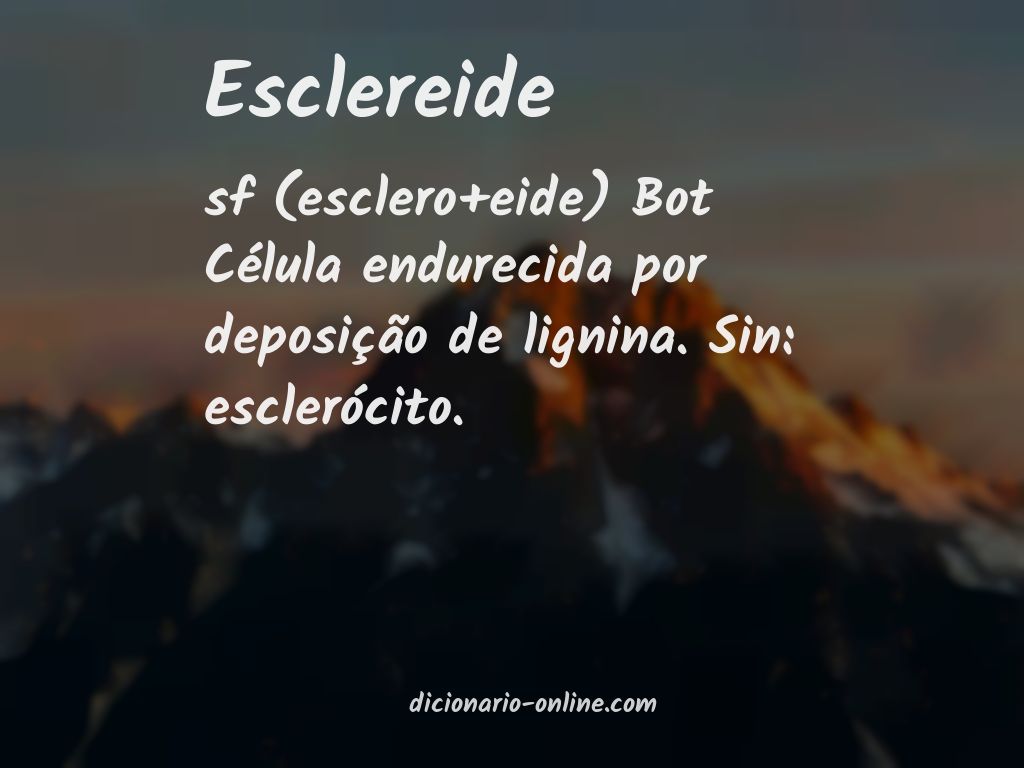 Significado de esclereide