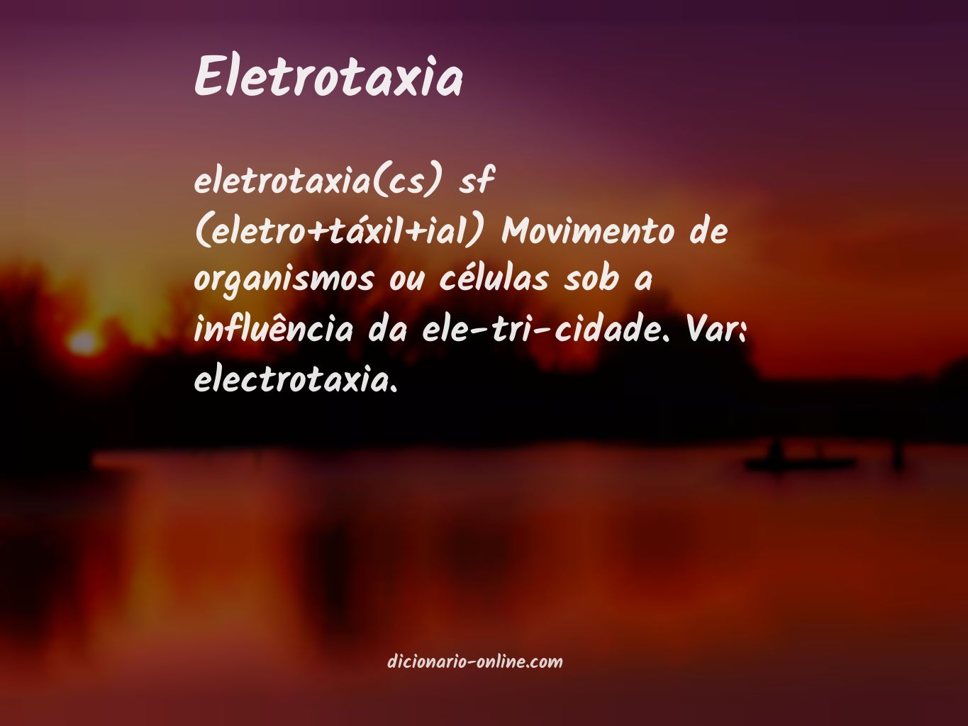 Significado de eletrotaxia