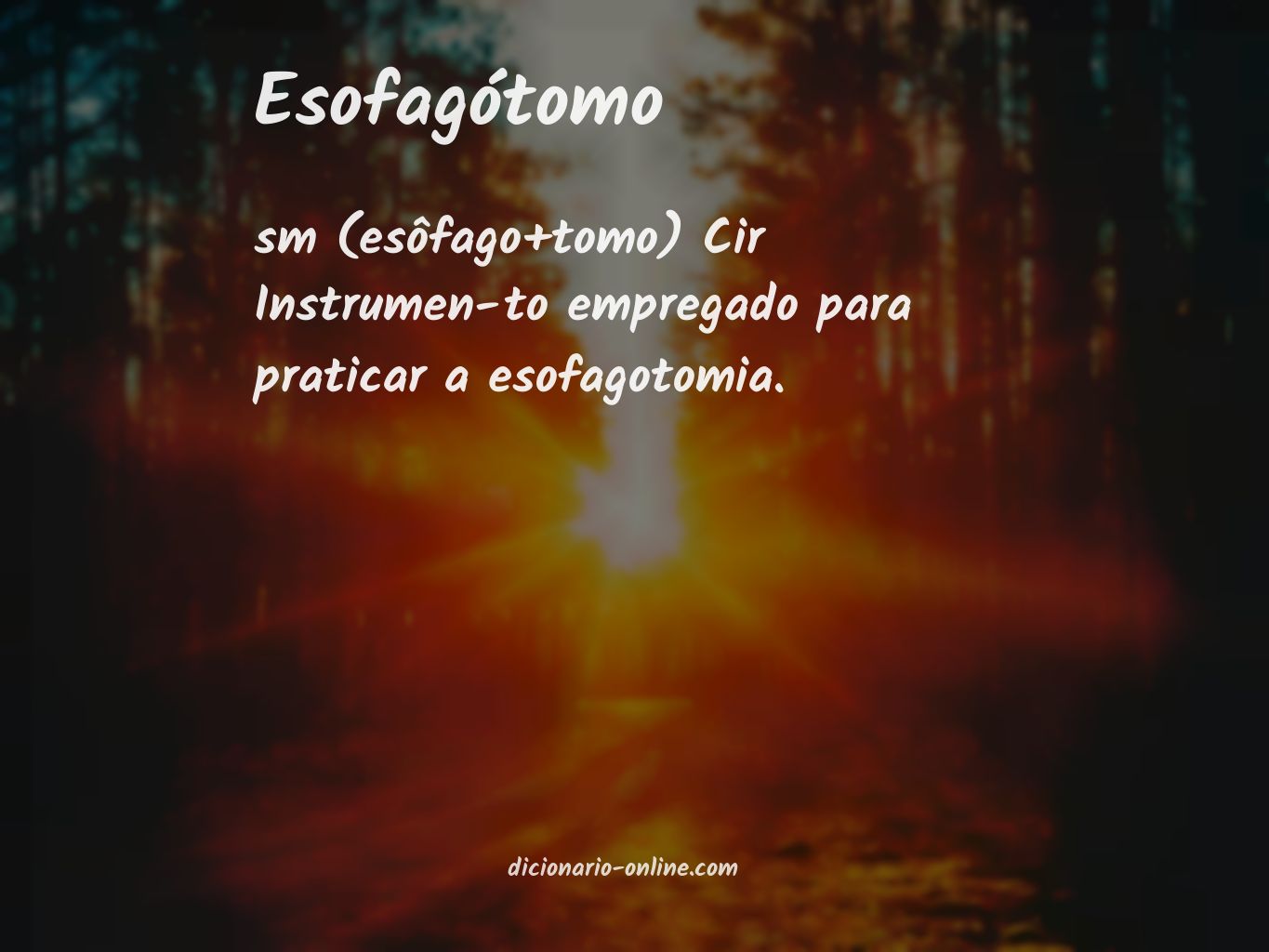 Significado de esofagótomo