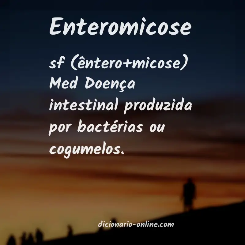 Significado de enteromicose