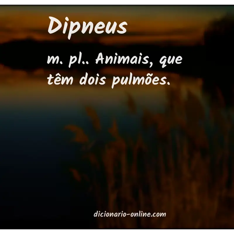 Significado de dipneus