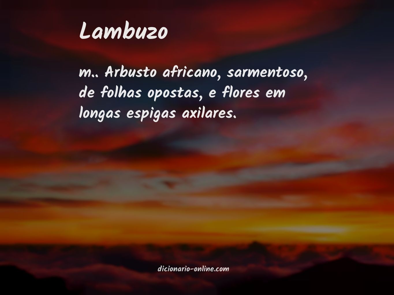 Significado de lambuzo