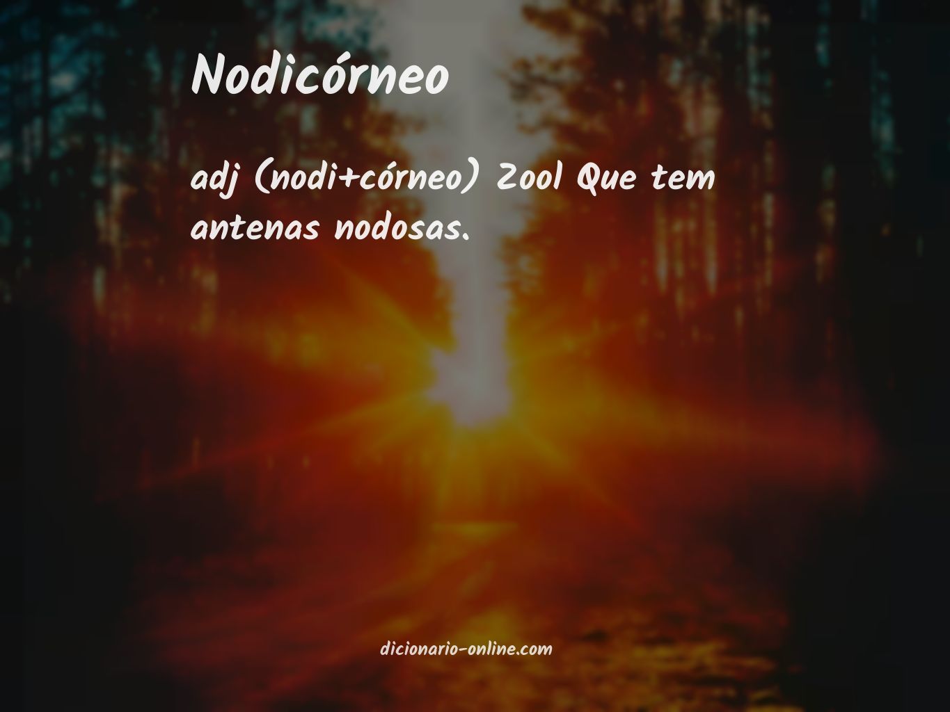 Significado de nodicórneo