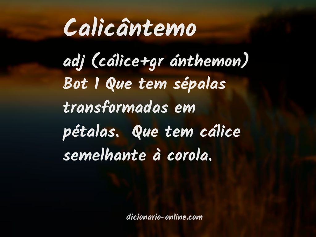 Significado de calicântemo