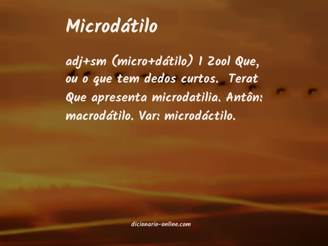 Significado de microdátilo