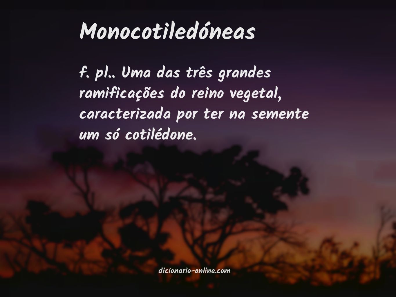 Significado de monocotiledóneas