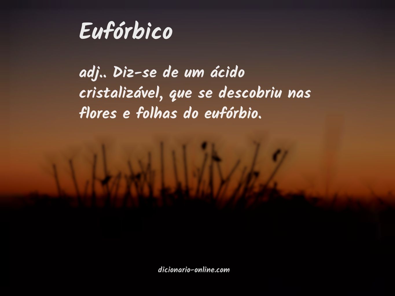 Significado de eufórbico