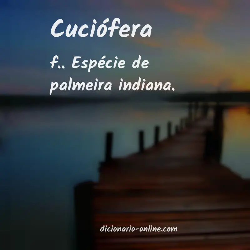 Significado de cuciófera