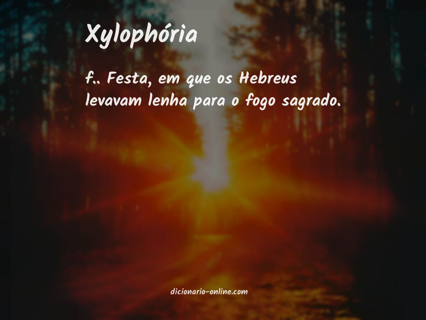 Significado de xylophória