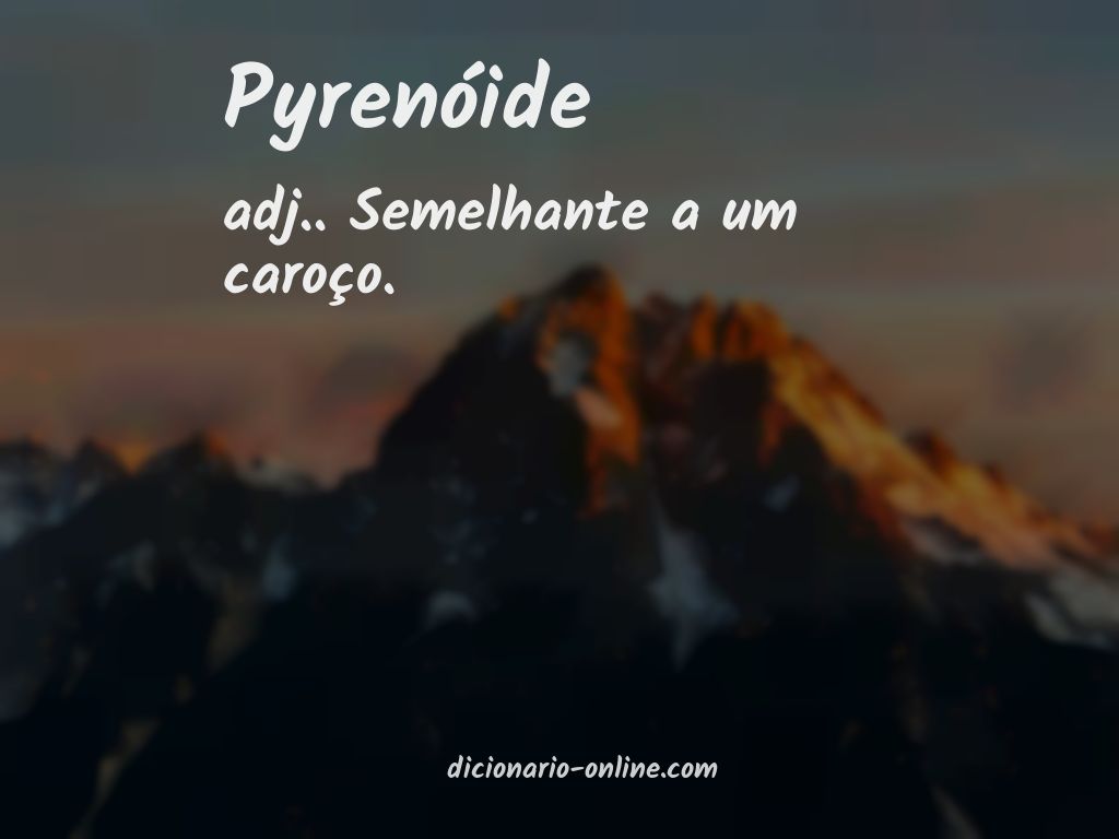 Significado de pyrenóide