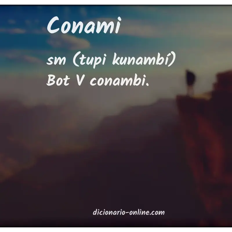 Significado de conami