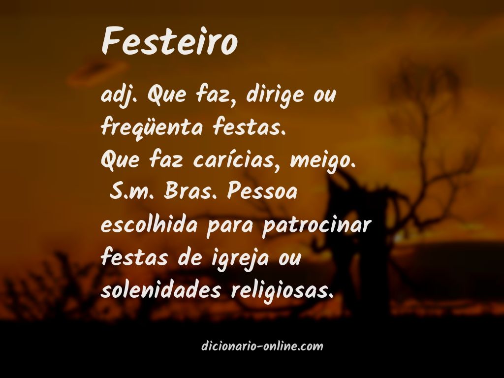 Significado de festeiro